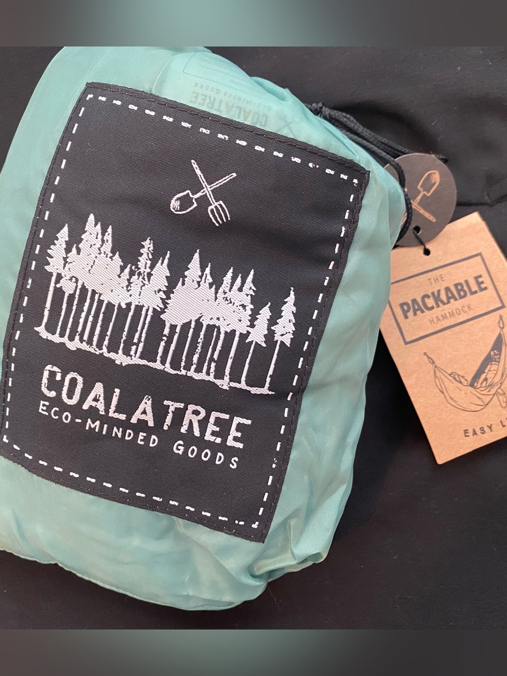 Coalatree Packable Hammock in Teal